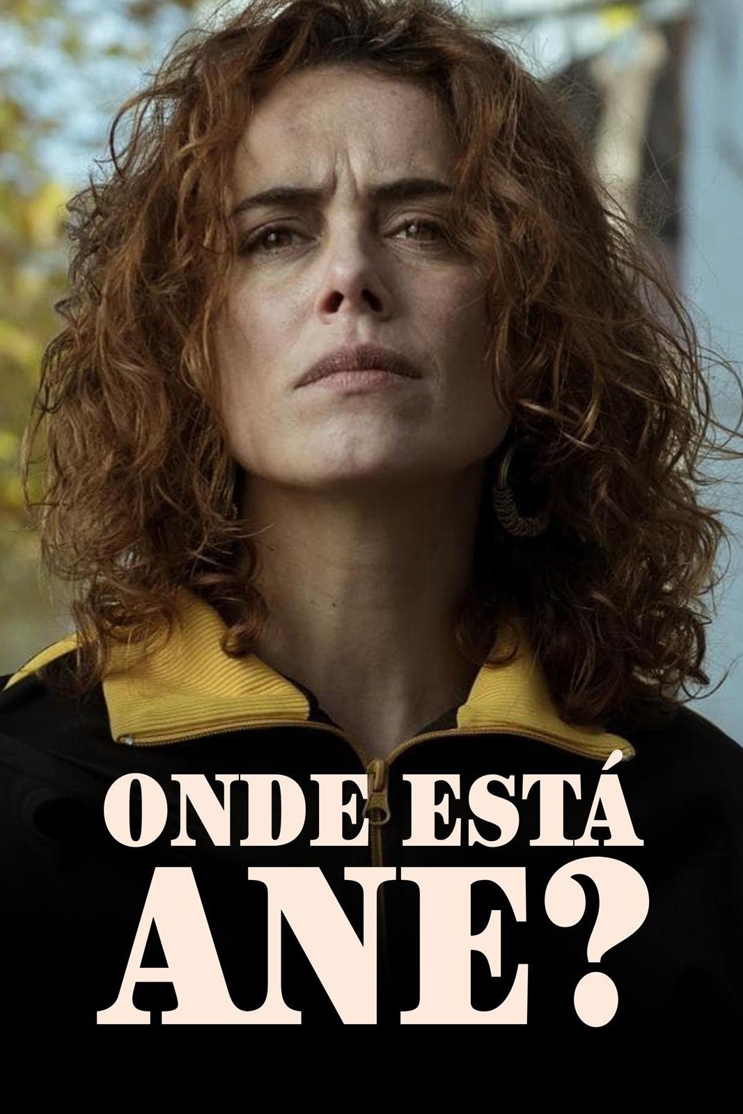 Poster de Onde Está Ane?