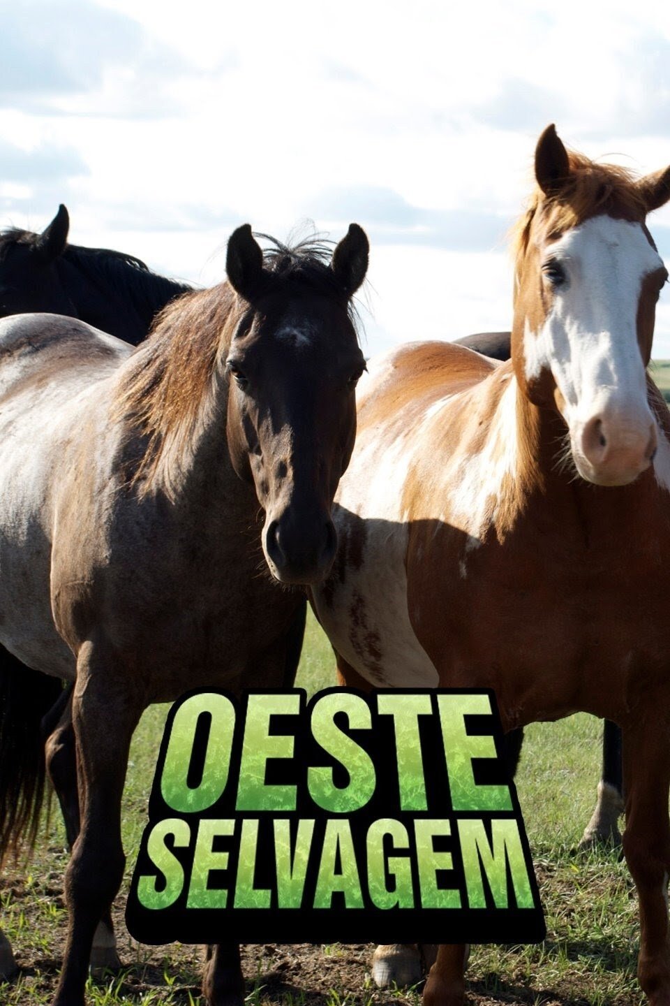 Poster de Oeste Selvagem