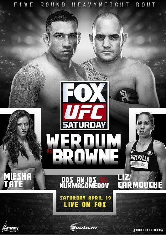 Poster de UFC on Fox 11: Werdum vs. Browne