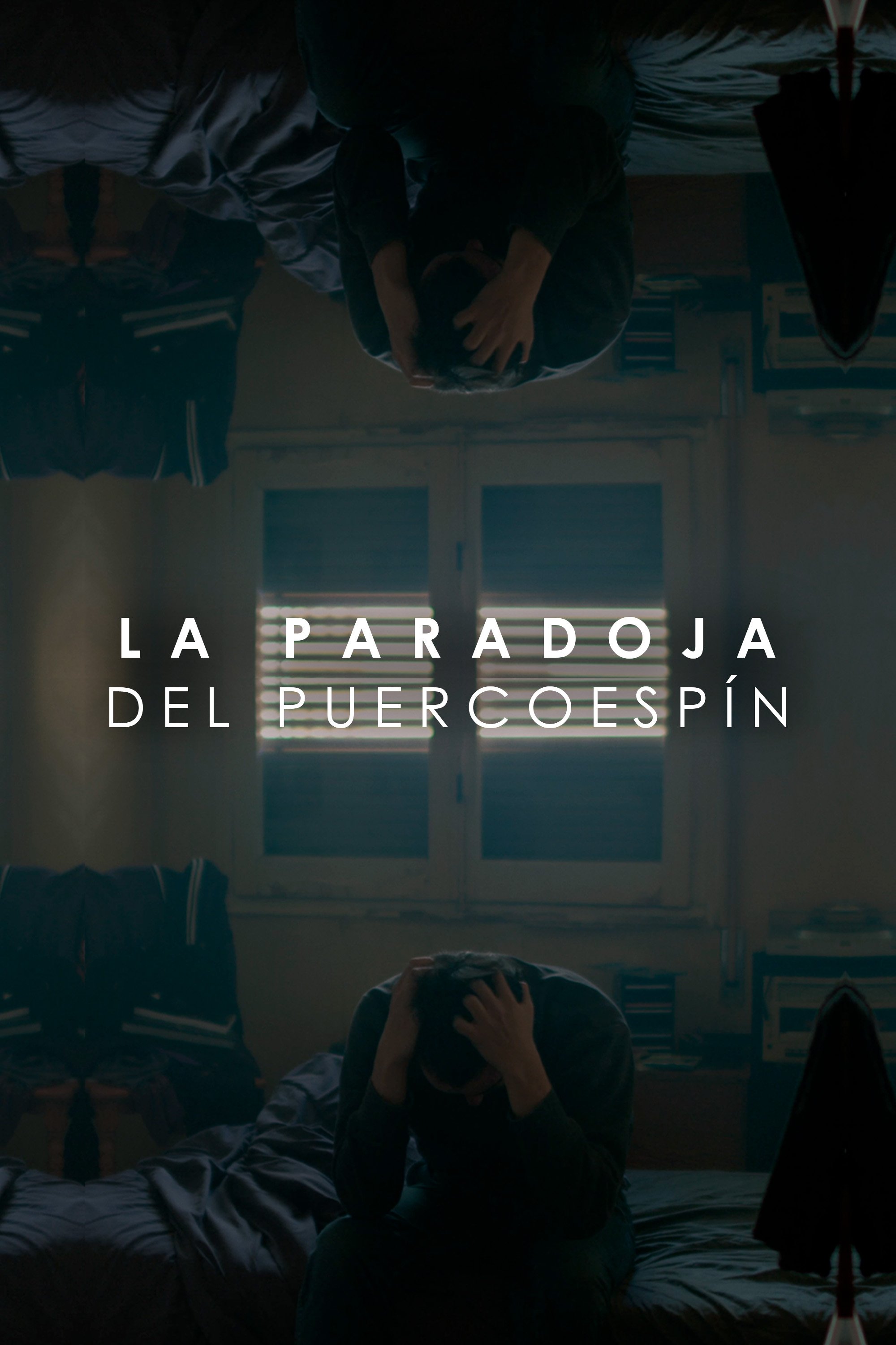 Poster de La paradoja del puercoespín (Escena de largometraje)