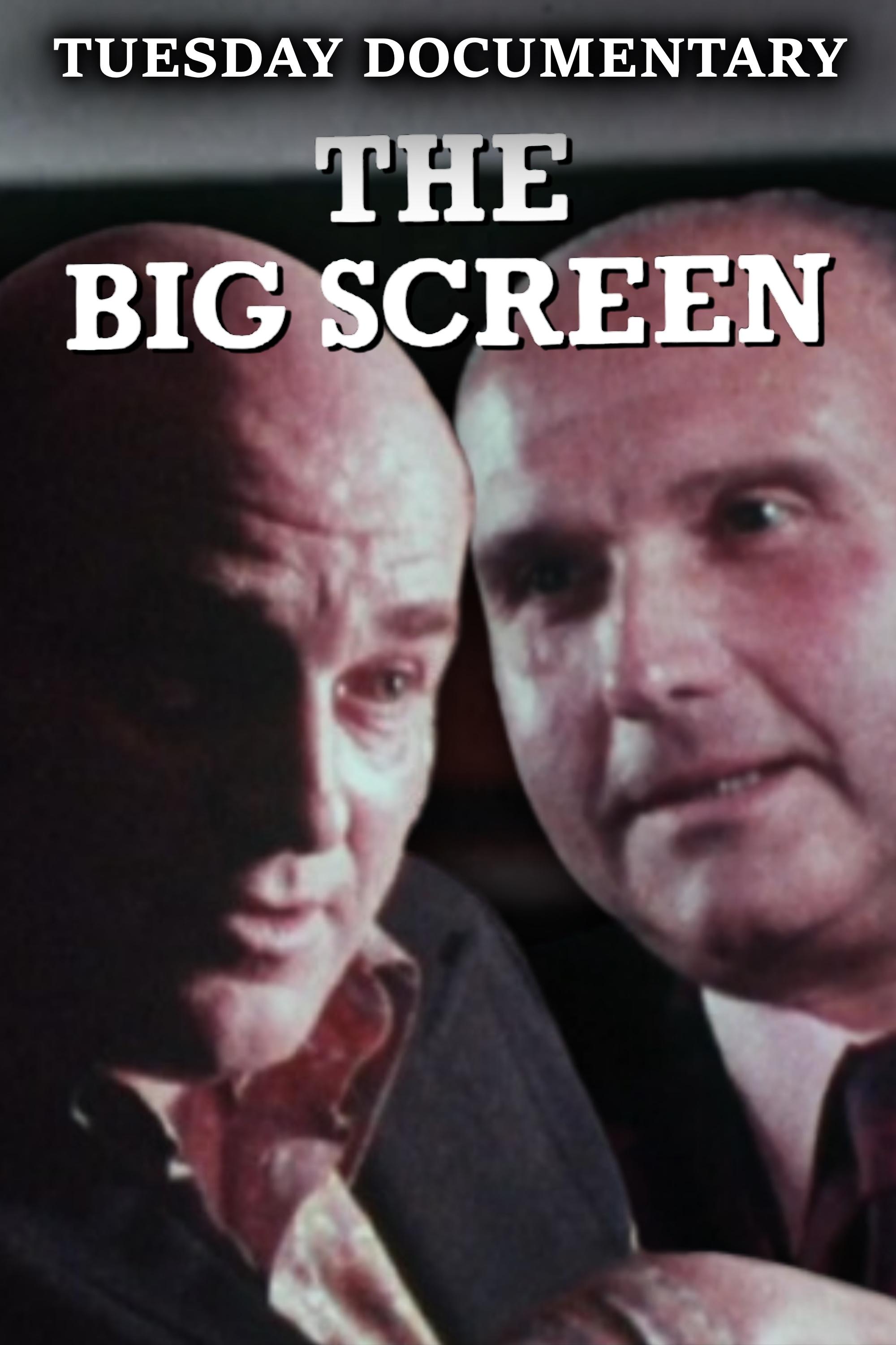Affiche du film The Big Screen