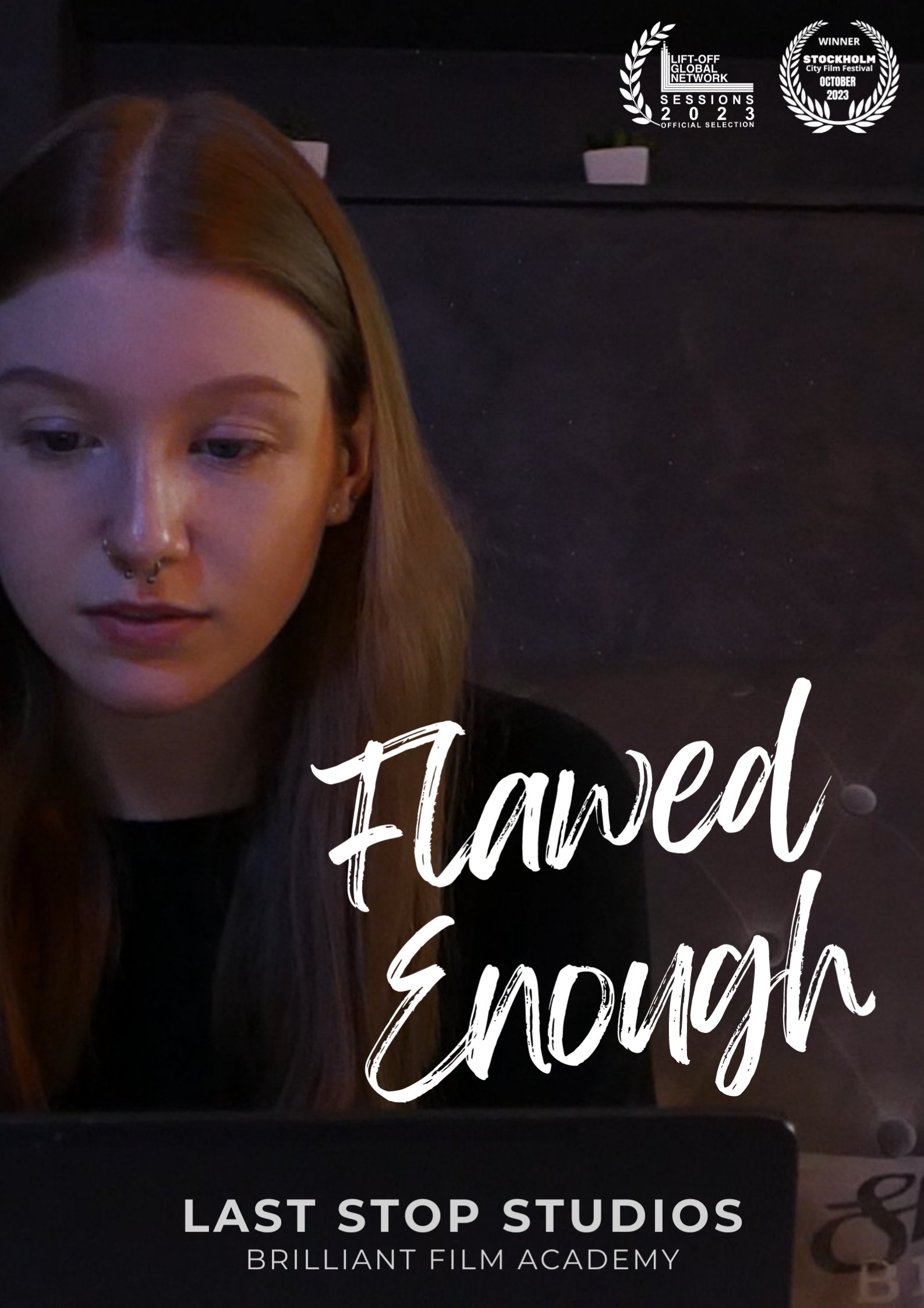 Poster de Flawed Enough