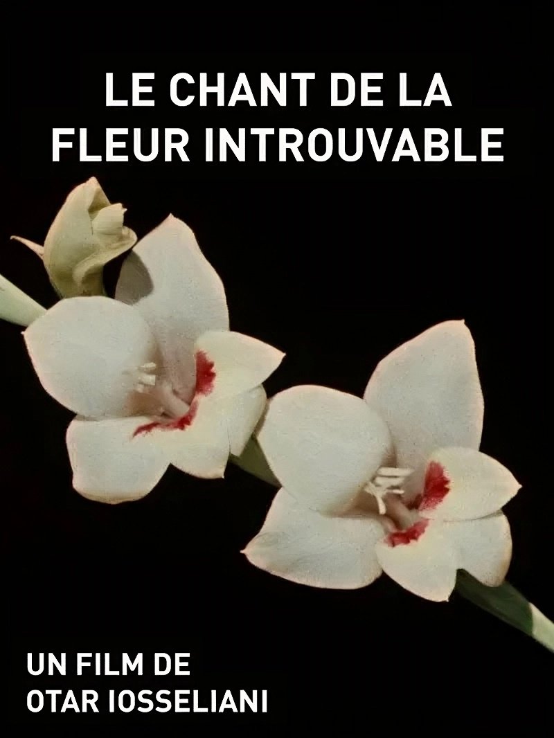 Le Chant de la fleur introuvable