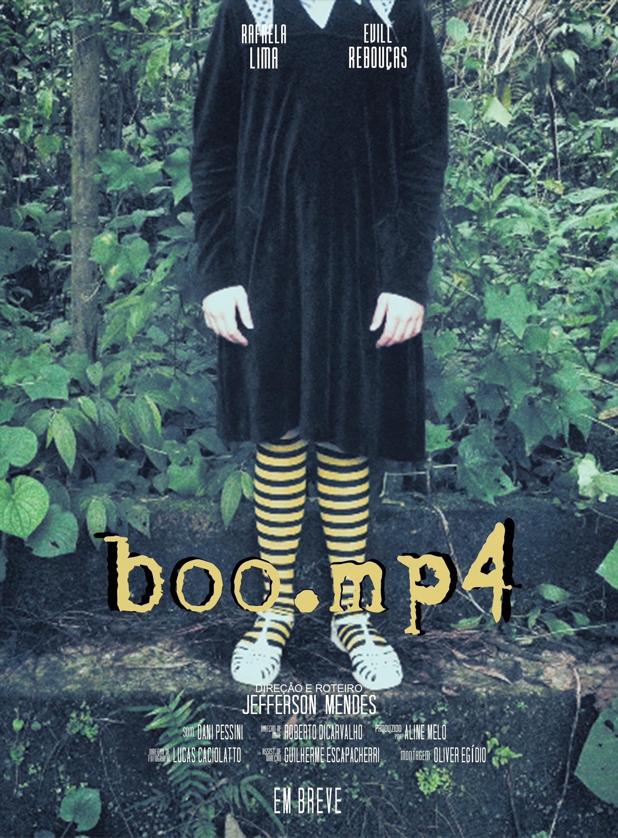 Poster de Boo.mp4