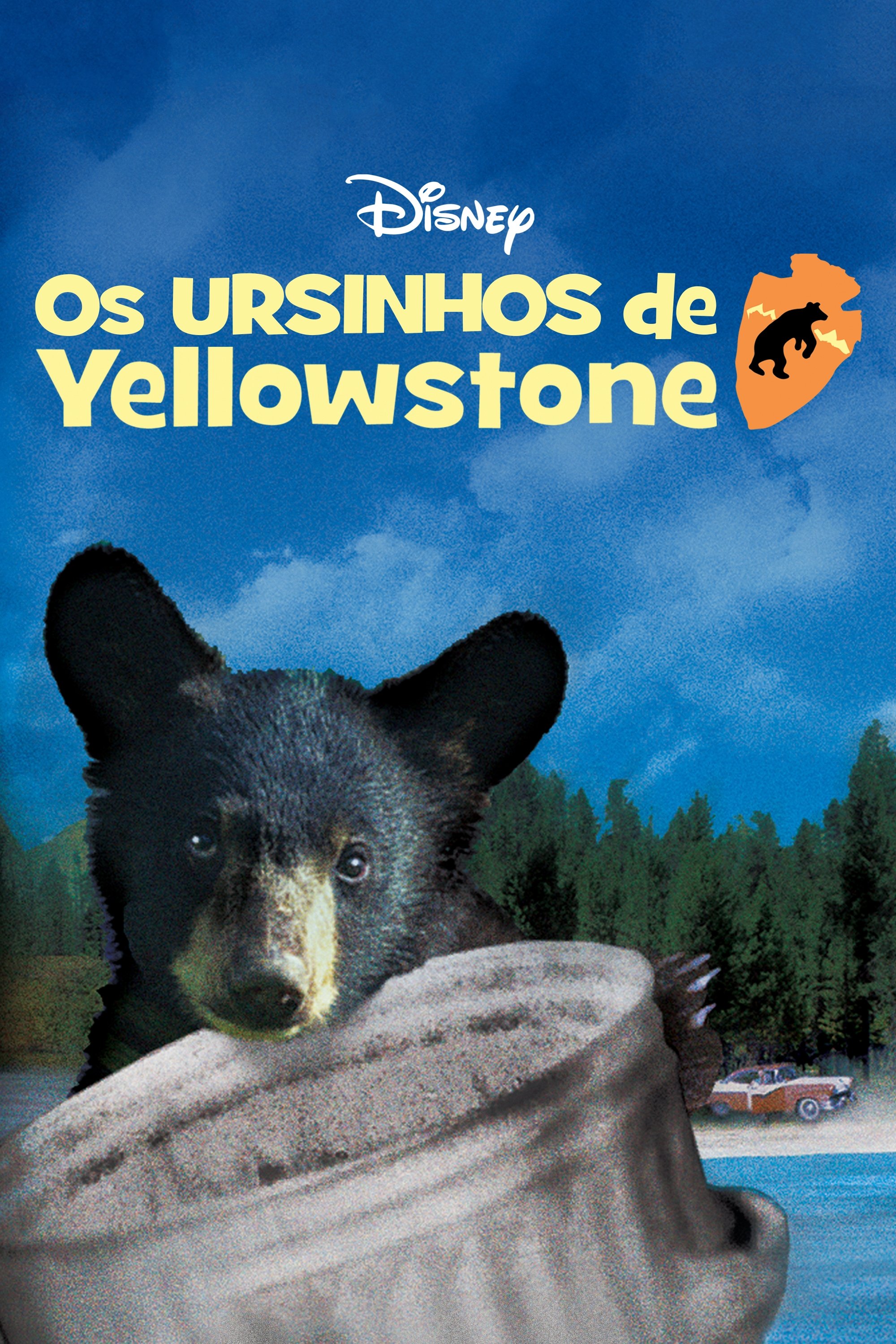 Poster de Os Ursinhos de Yellowstone