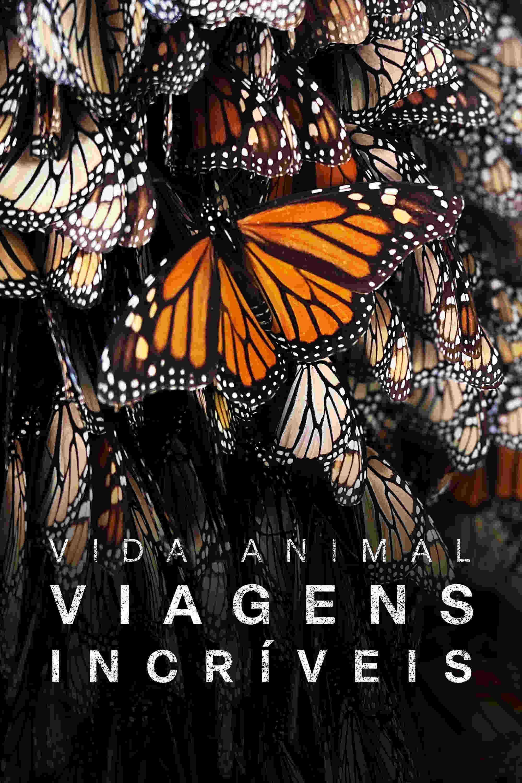 Poster de As Mais Incríveis Viagens de Animais