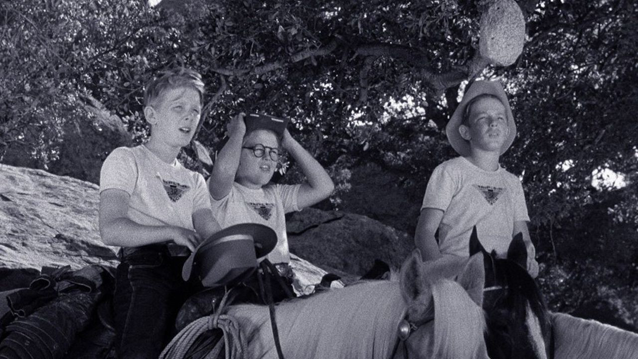 Perkins and the Bear