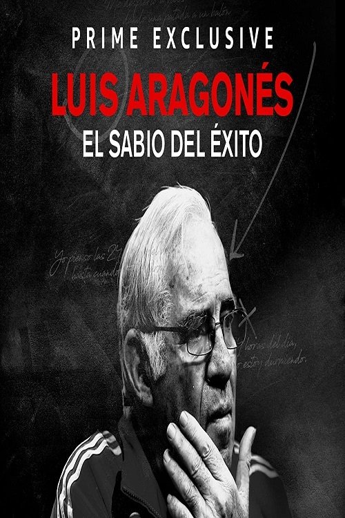 Poster de Luis Aragonés, el sabio del éxito