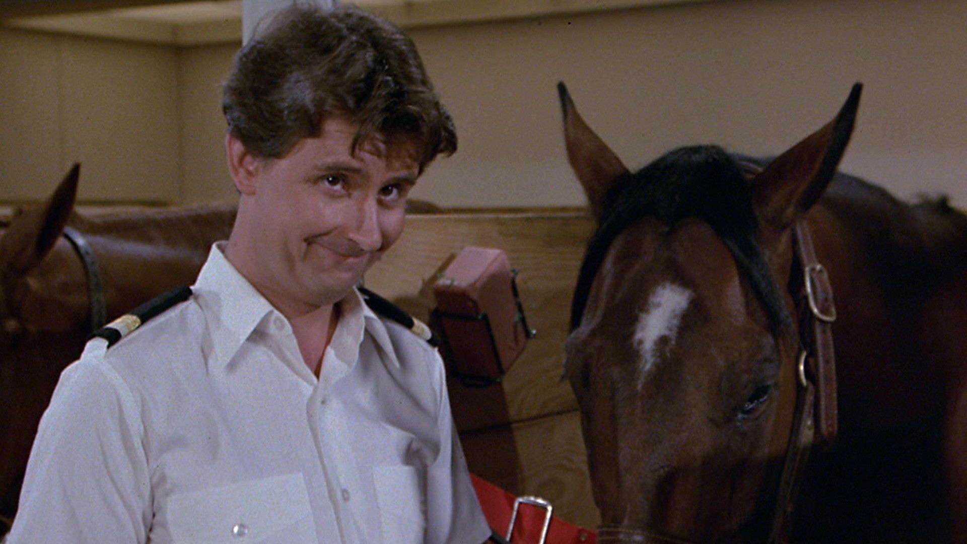 Secretary to the Stars/Julie's Decision/The Horse Lover/Gopher and Isaac Buy a Horse