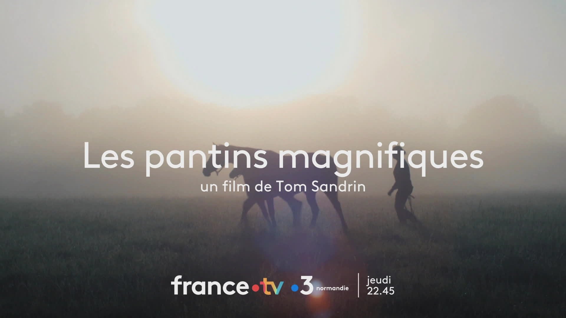 Les pantins magnifiques