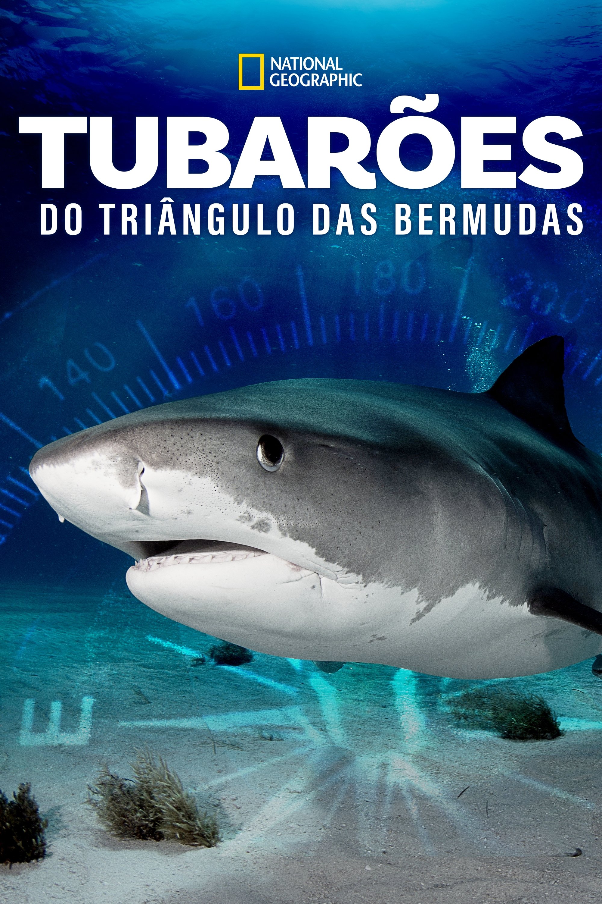 Poster de Tubarões do Triângulo das Bermudas