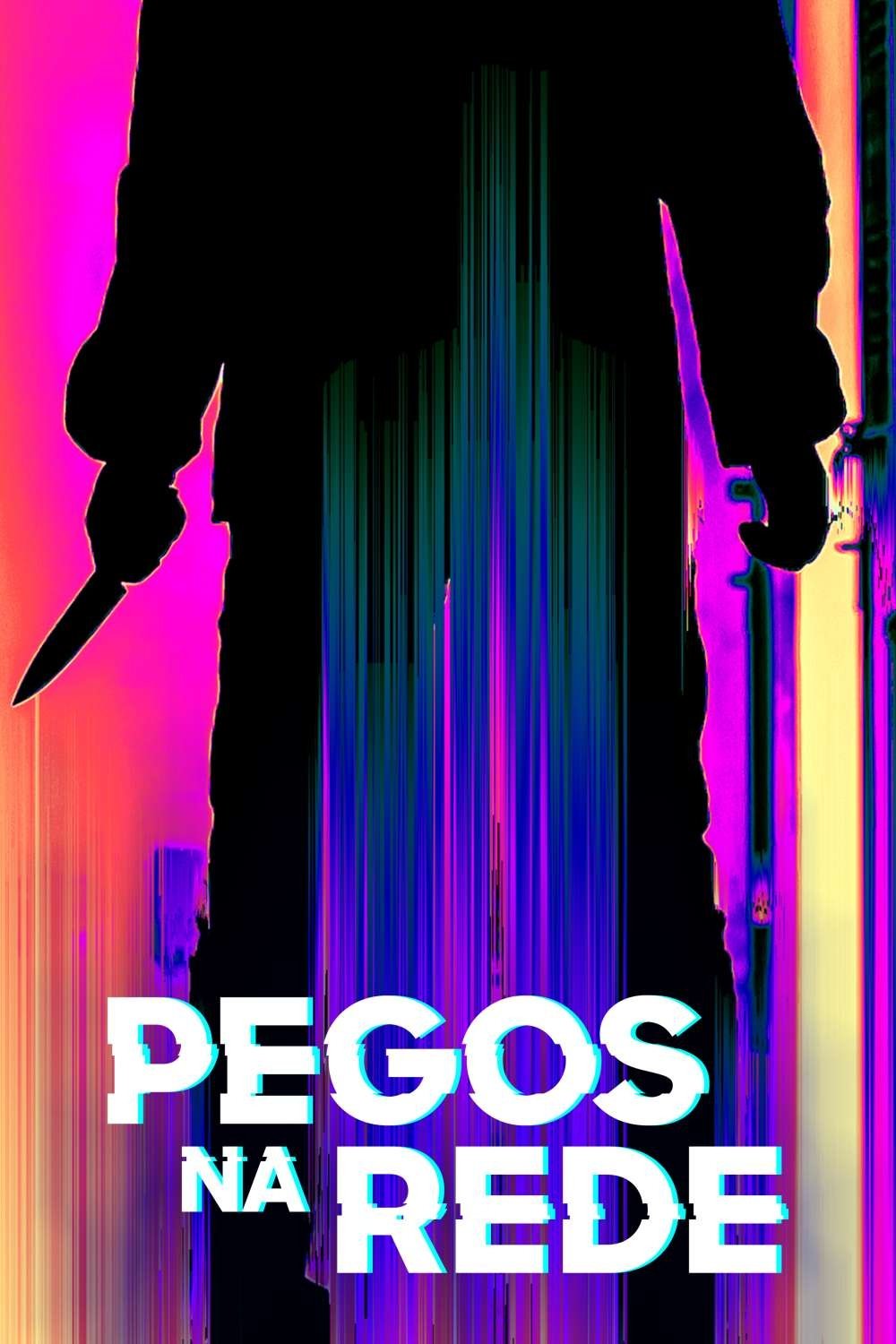 Poster de Pegos na Rede