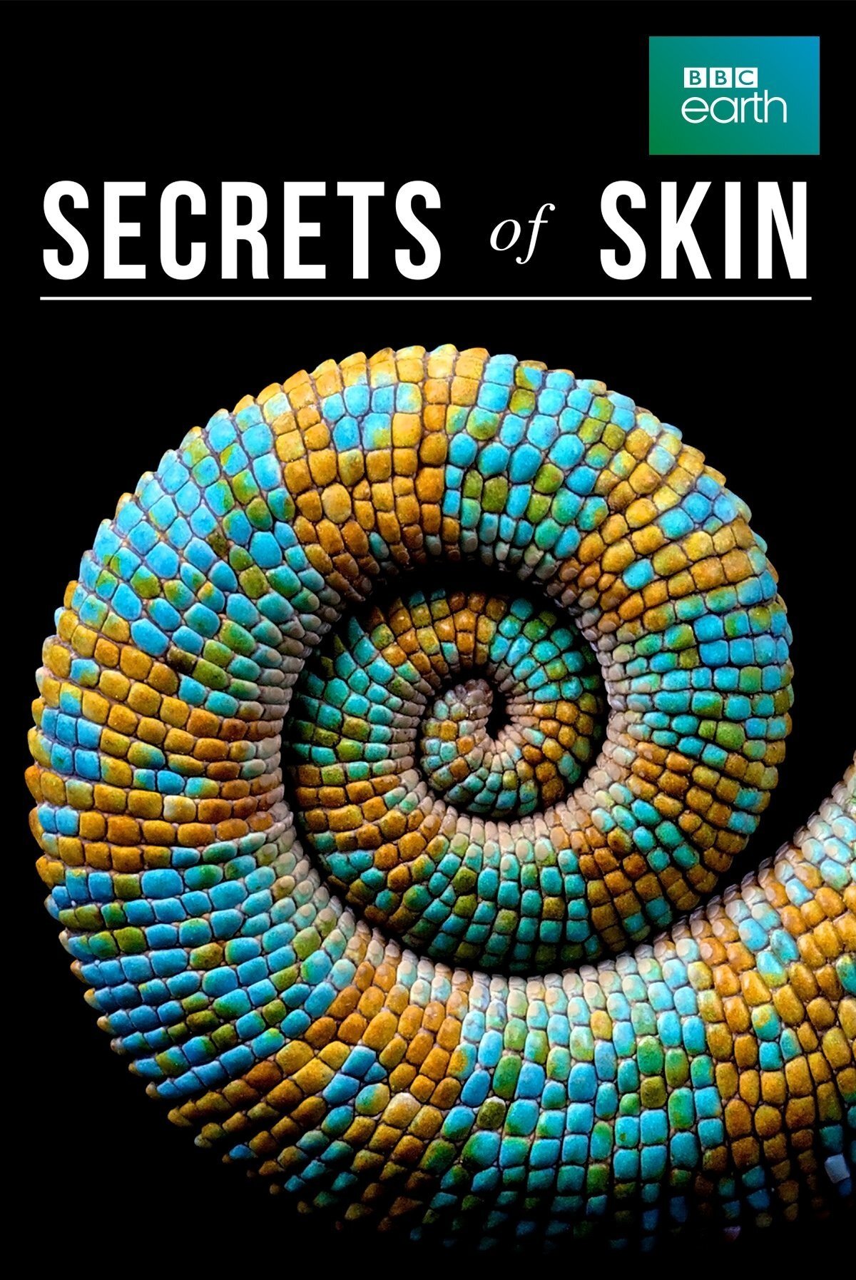 Poster de Secrets of Skin