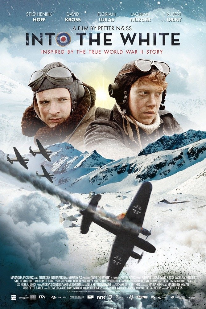 Affiche du film Into the White