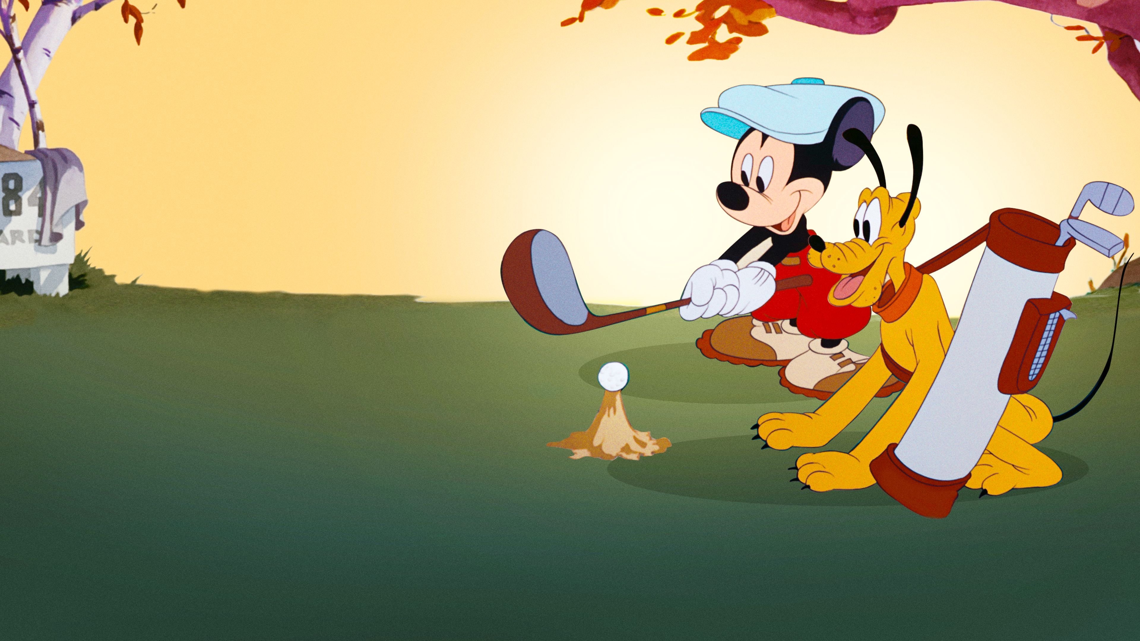 Backdrop image