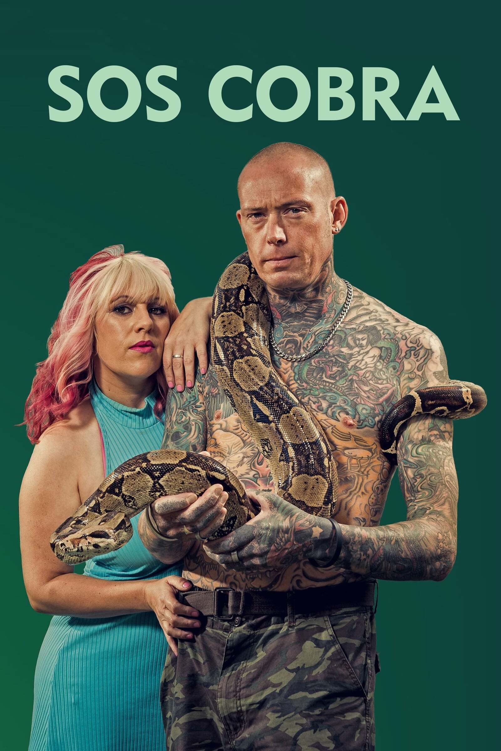Poster de Temporada 5