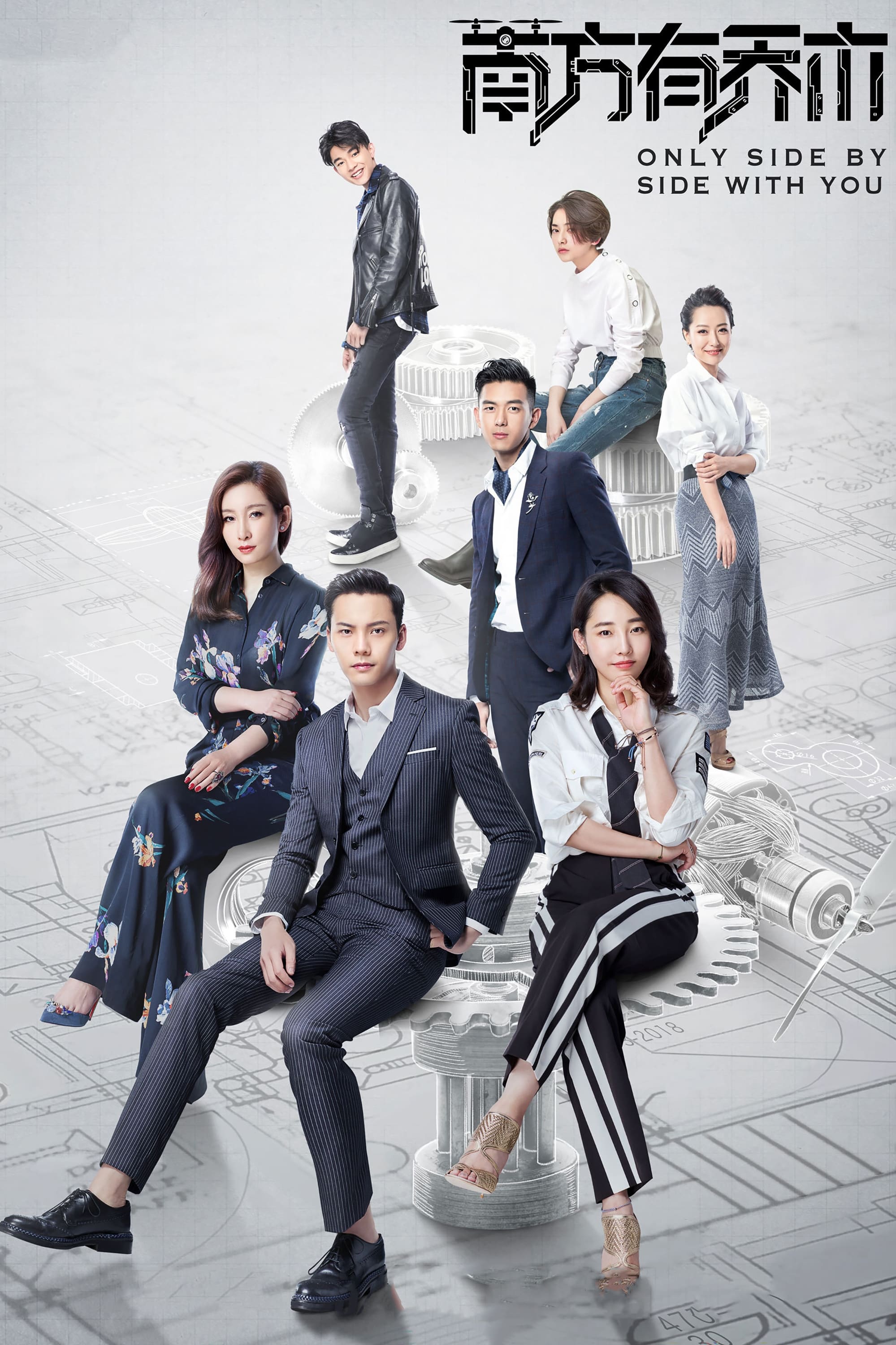Poster de 南方有乔木