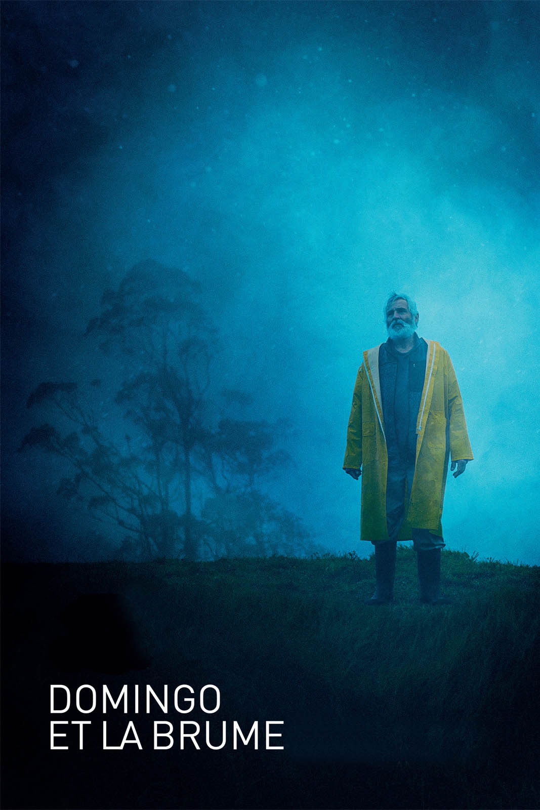 Domingo et la Brume