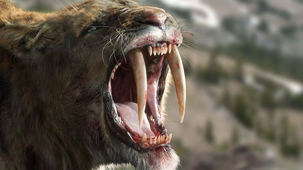 Land of the Sabre-Tooth
