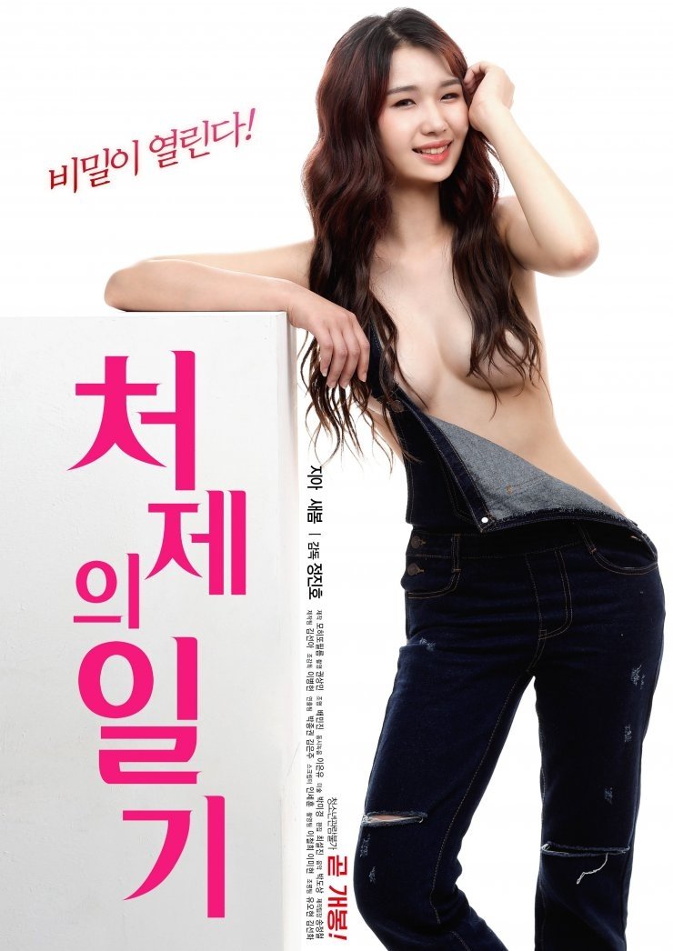 Poster de 처제의 일기