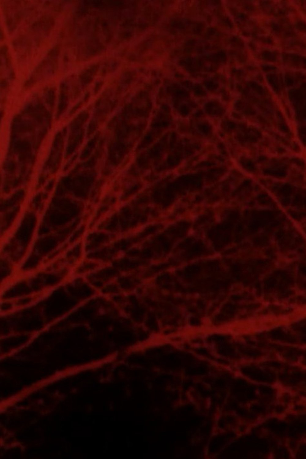 Poster de Bad Blood