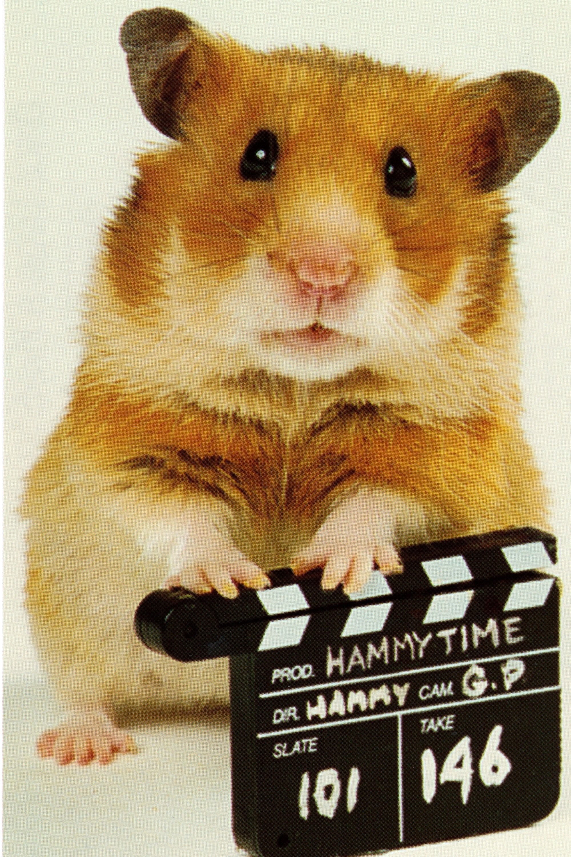 Poster de Once Upon a Hamster
