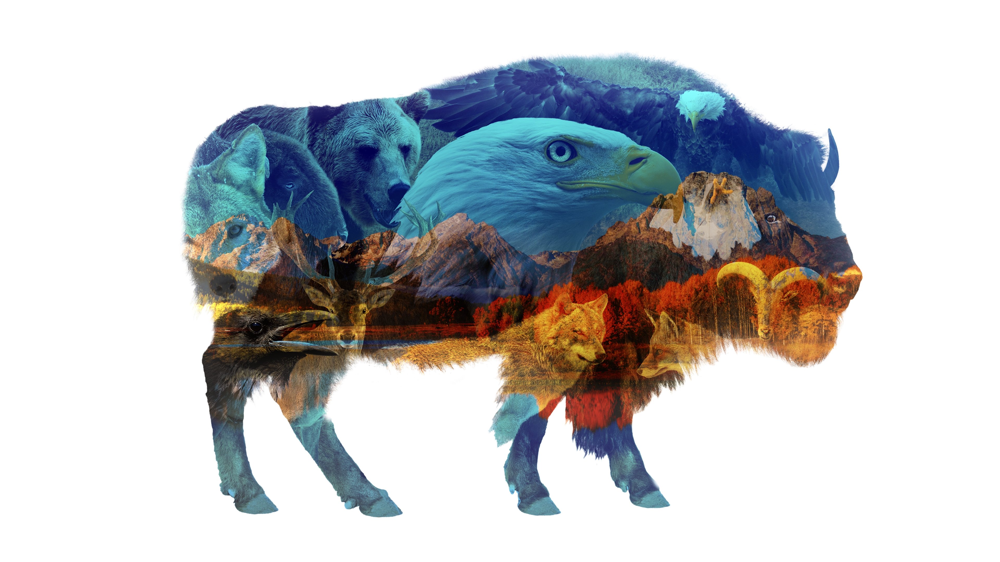 Backdrop image