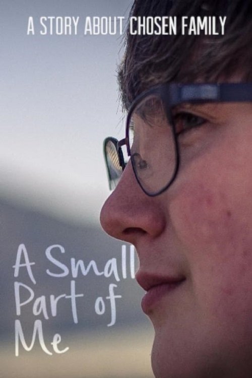Poster de A Small Part of Me