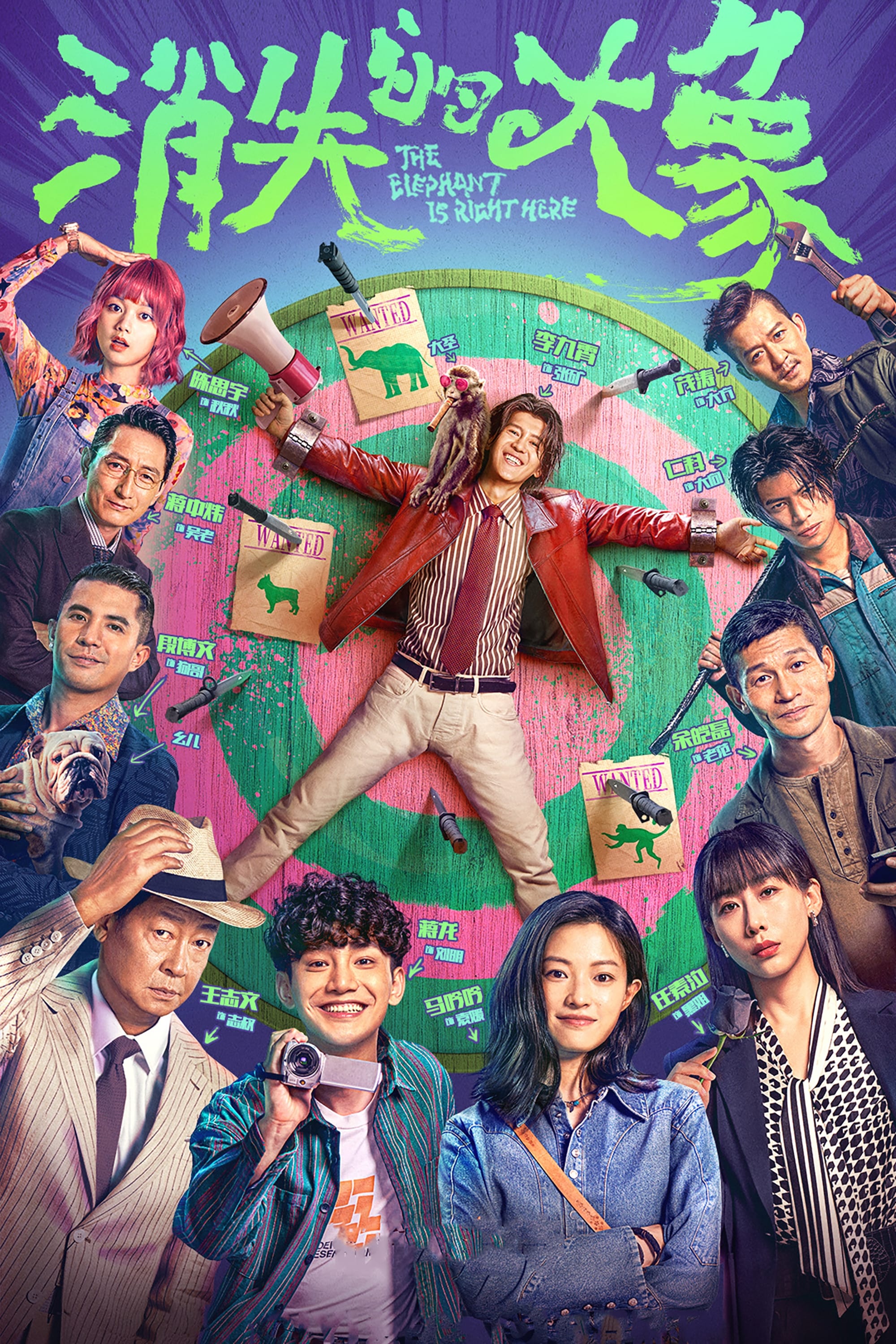 Poster de 消失的大象