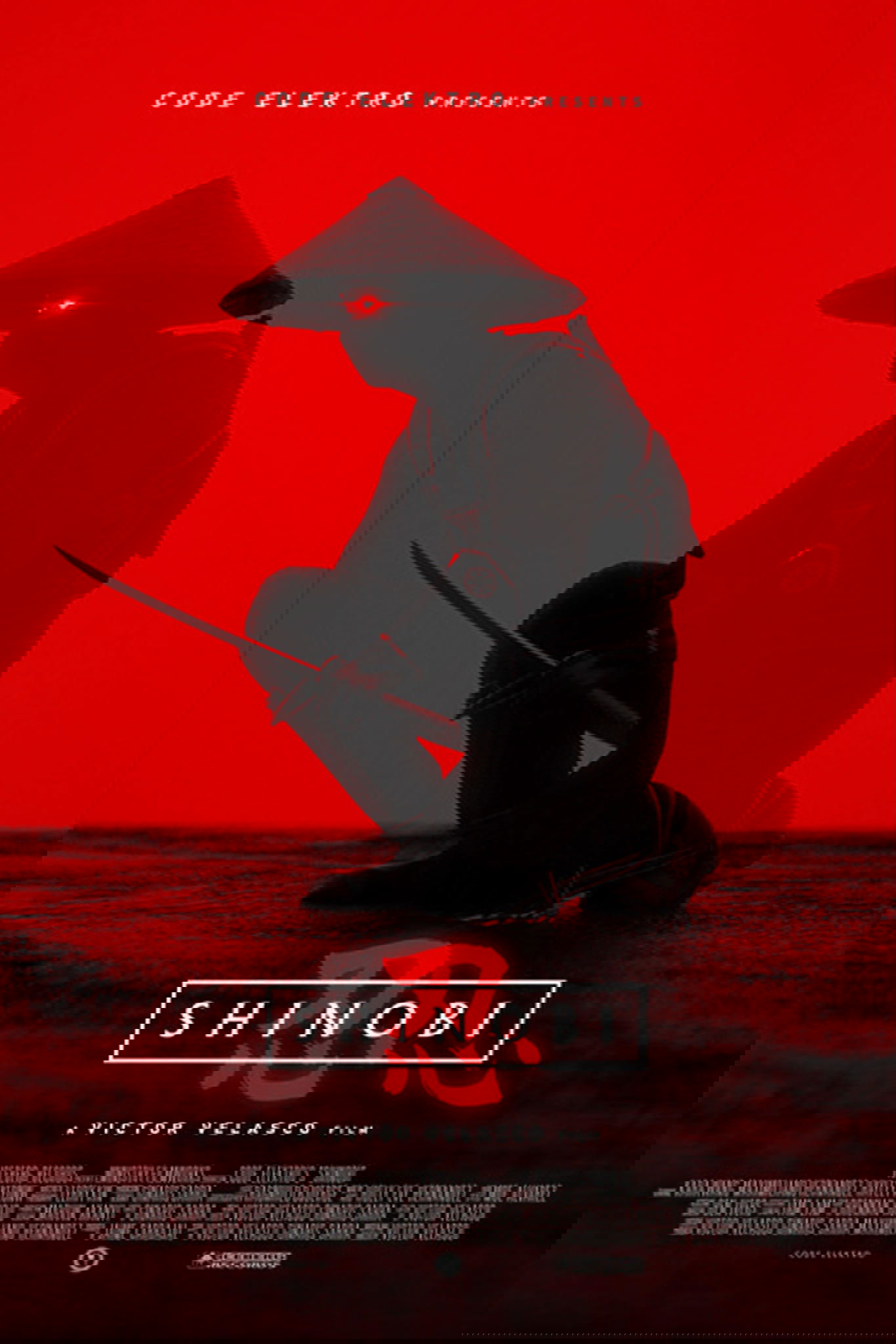 Poster de Shinobi