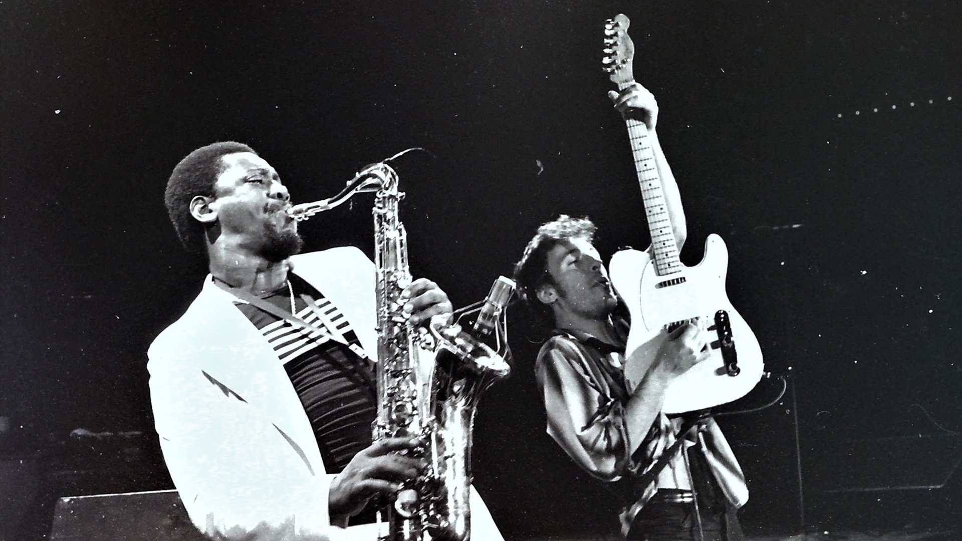 Bruce Springsteen & the E Street Band Houston '78 Bootleg: House Cut