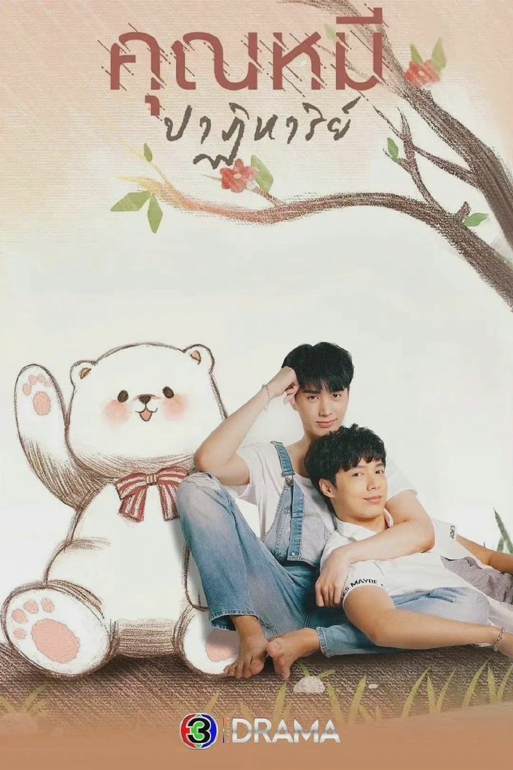 Poster de The Miracle of Teddy Bear