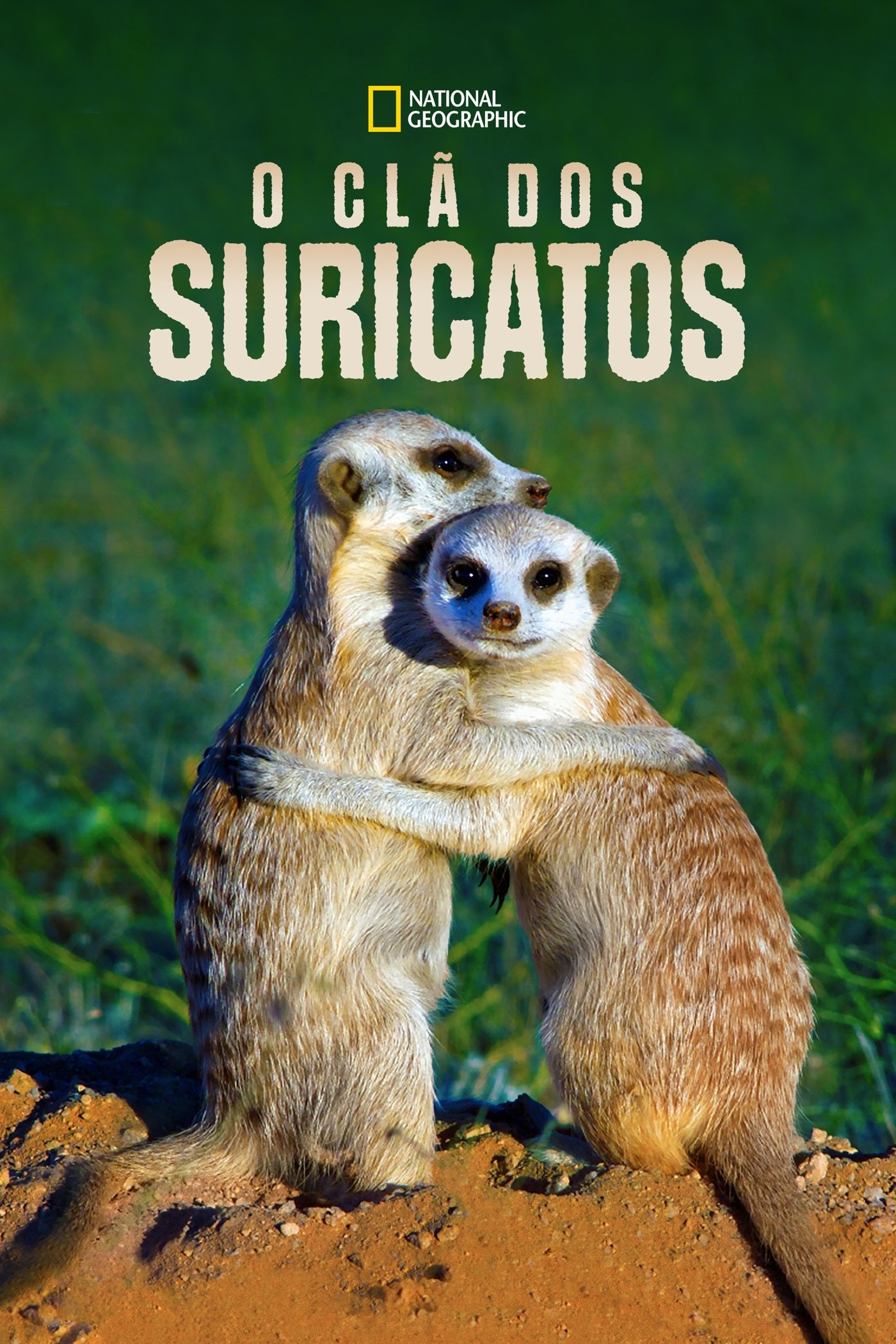 Poster de O Clã dos Suricatos