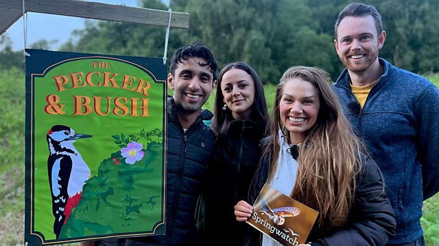 Watch Out: Episode 3