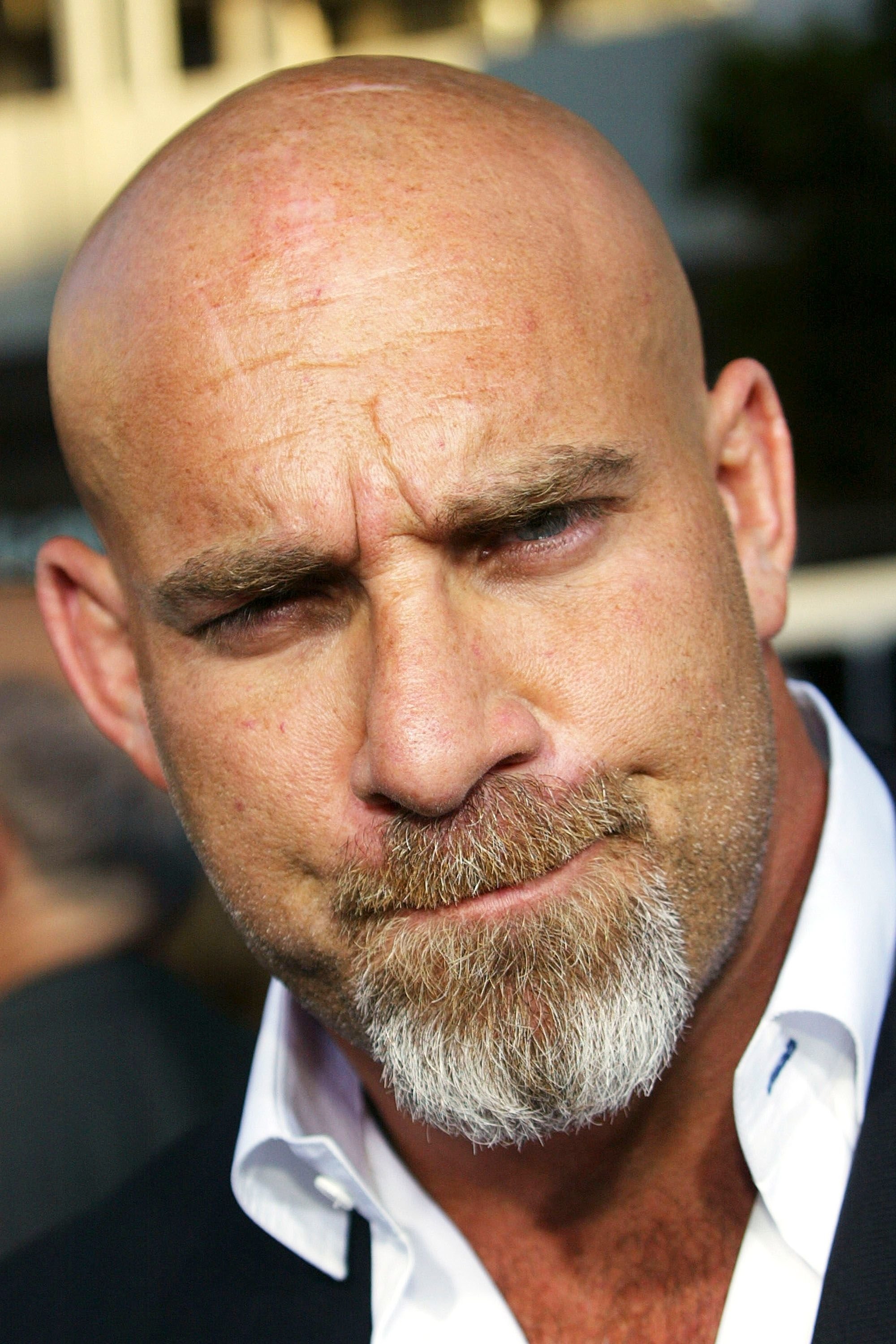 Foto de Bill Goldberg