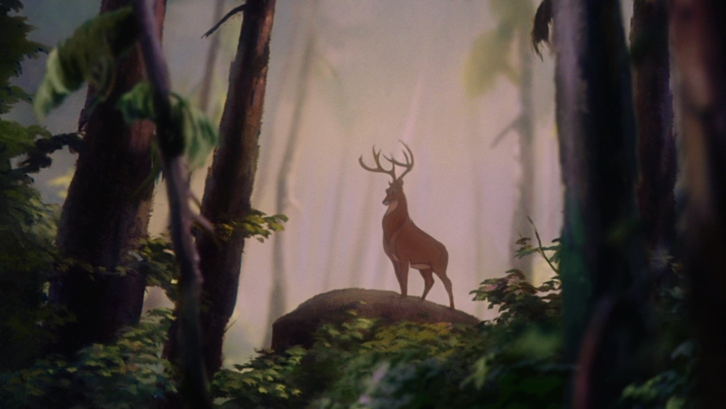 backdrops