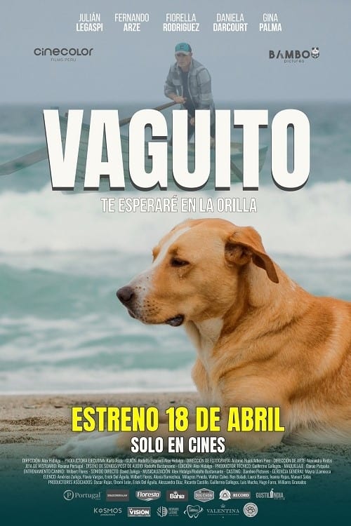 Vaguito poster