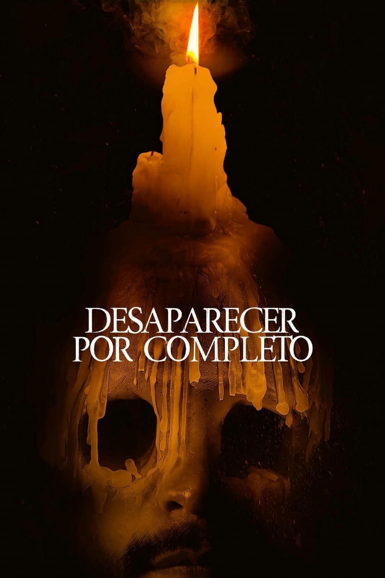 Poster de Desaparecer Por Completo