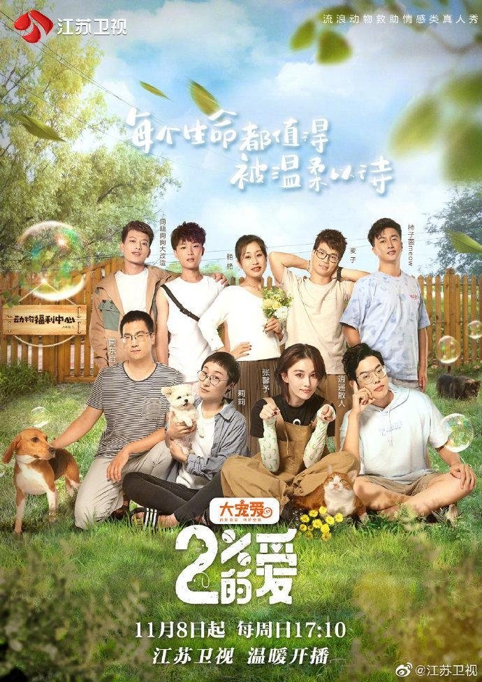 Poster de 百分之二的爱