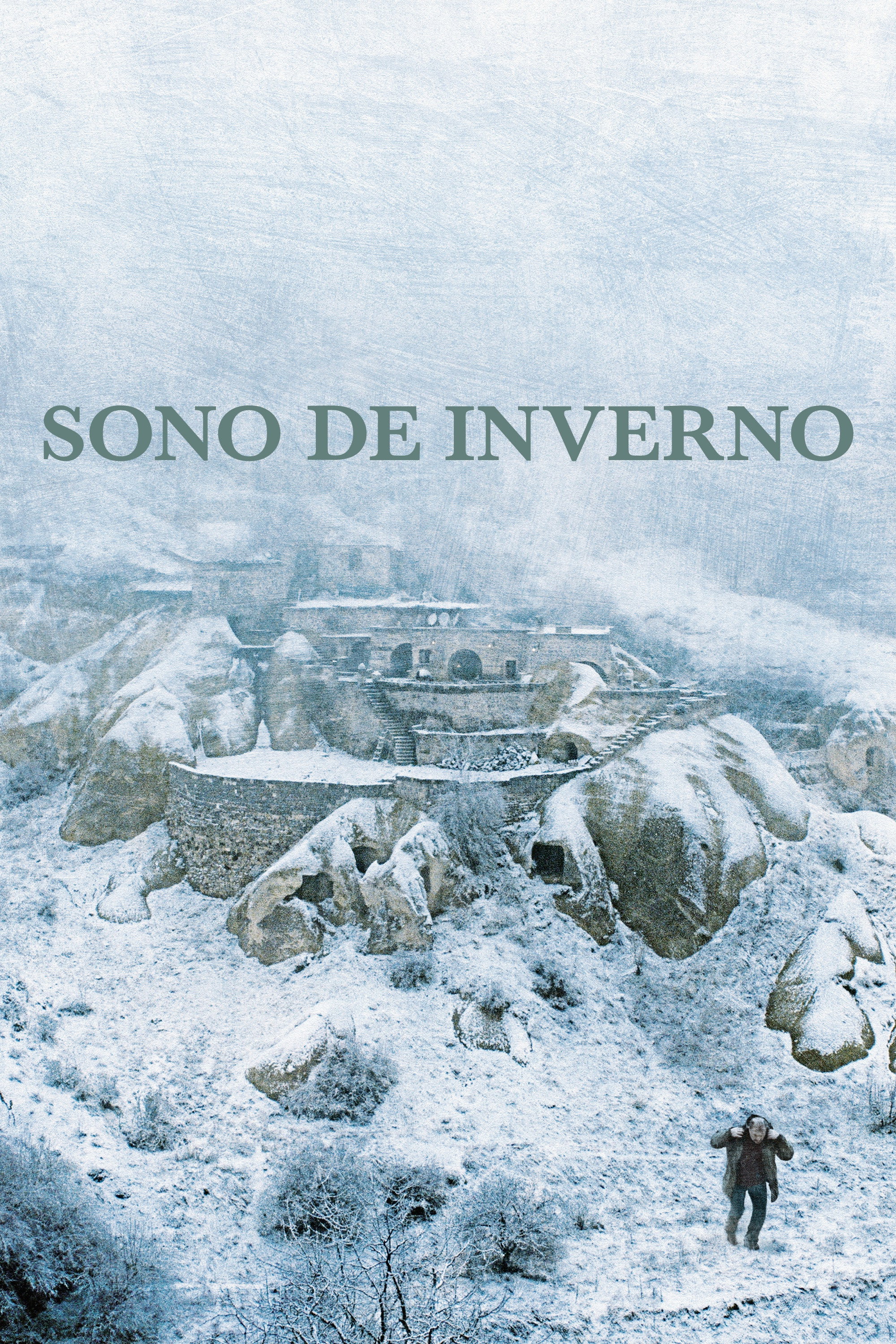Poster de Sono de Inverno