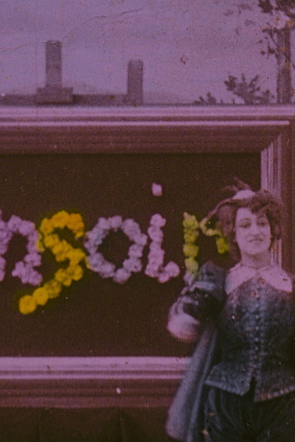 Bonsoir tableau fleuri