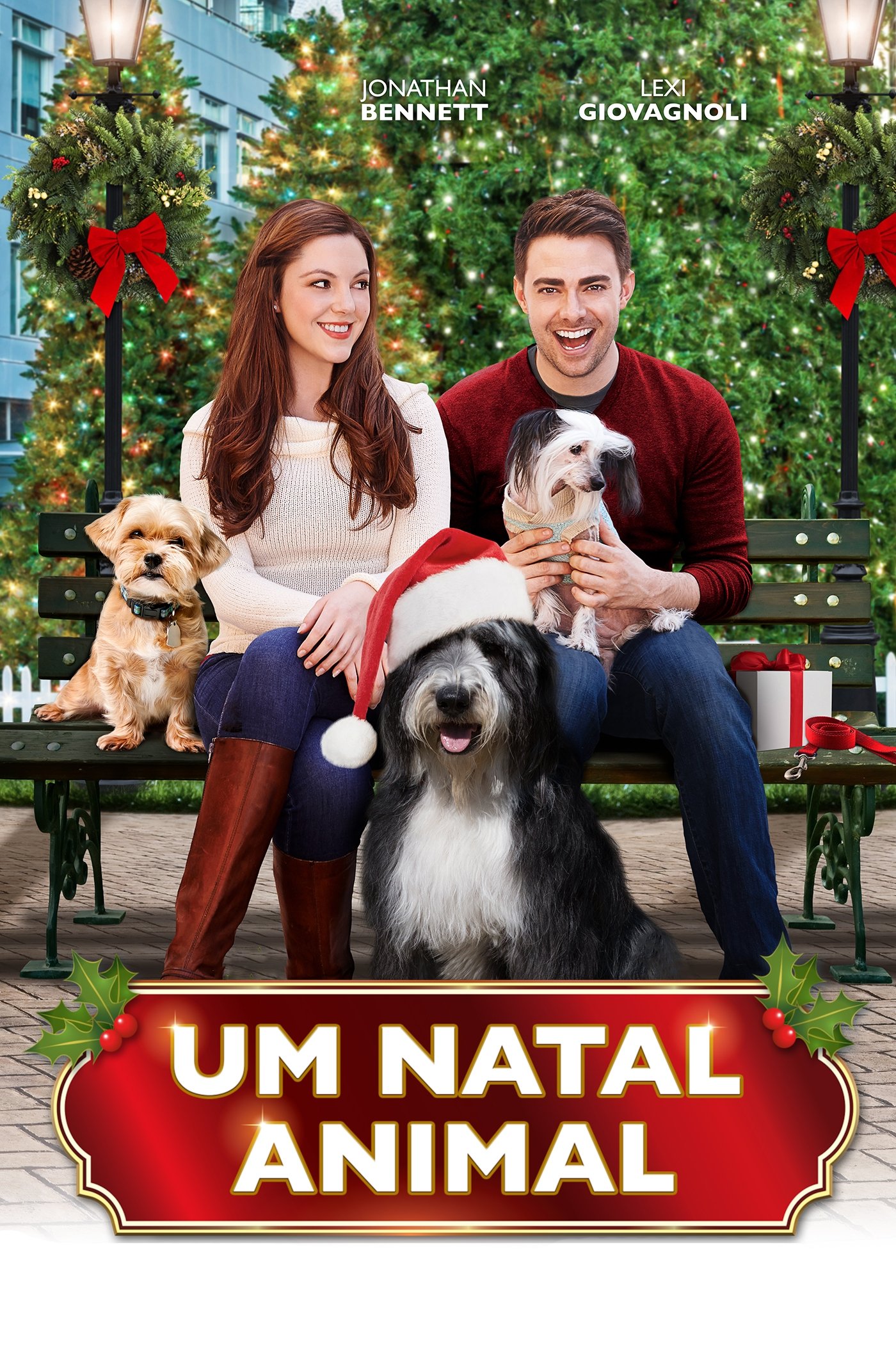 Poster de Um Natal Animal
