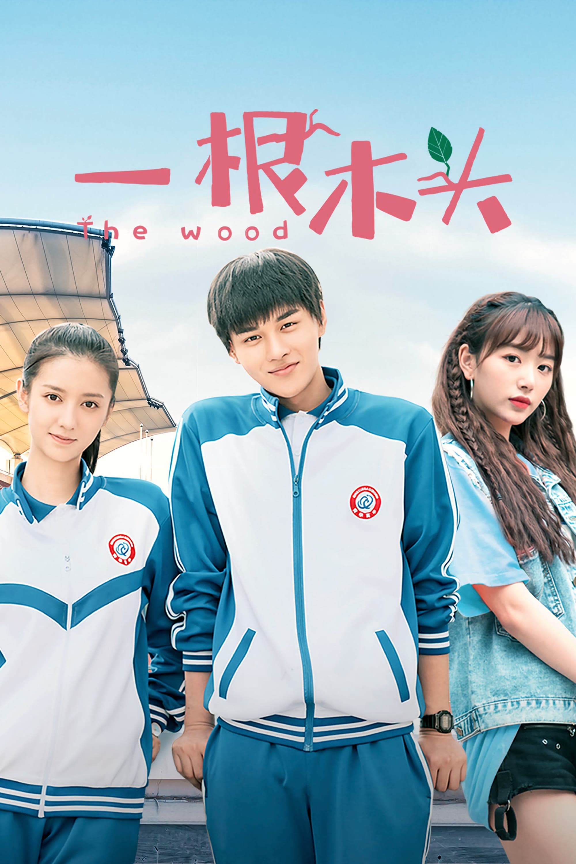 Poster de 一根木头