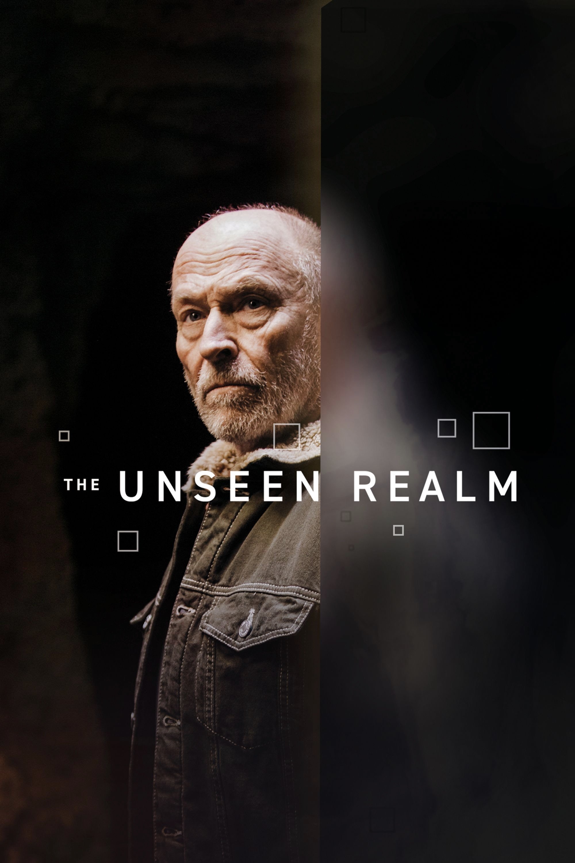 Poster de The Unseen Realm