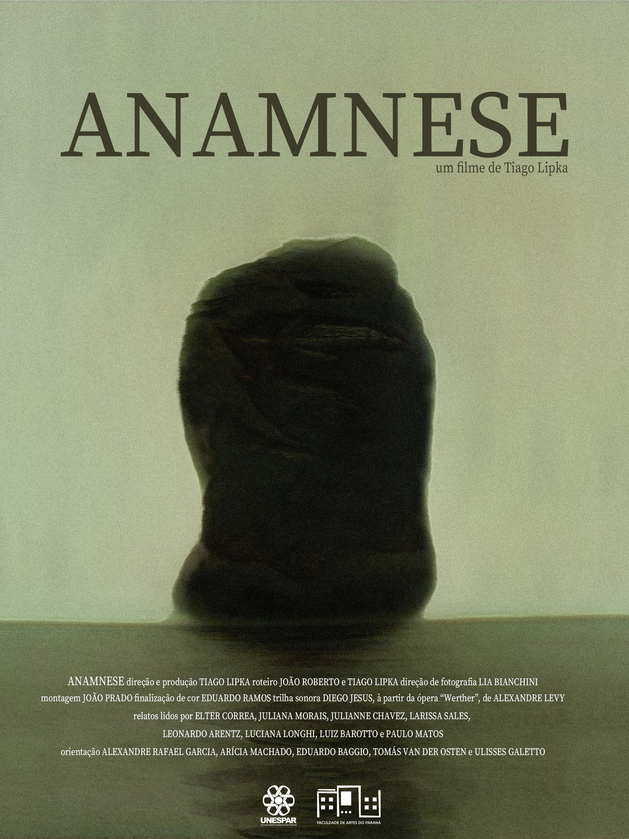 Poster de Anamnese
