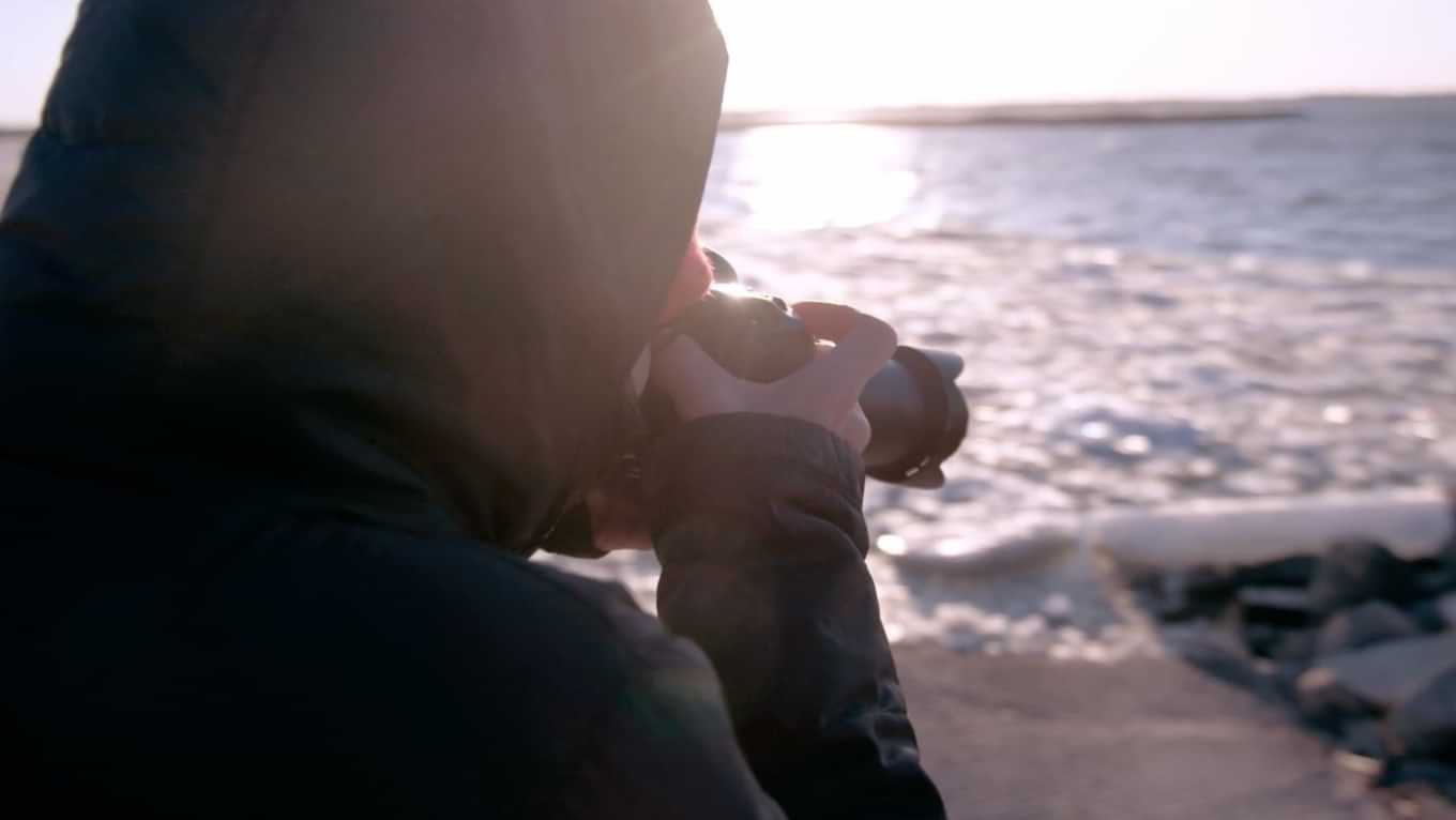 Director