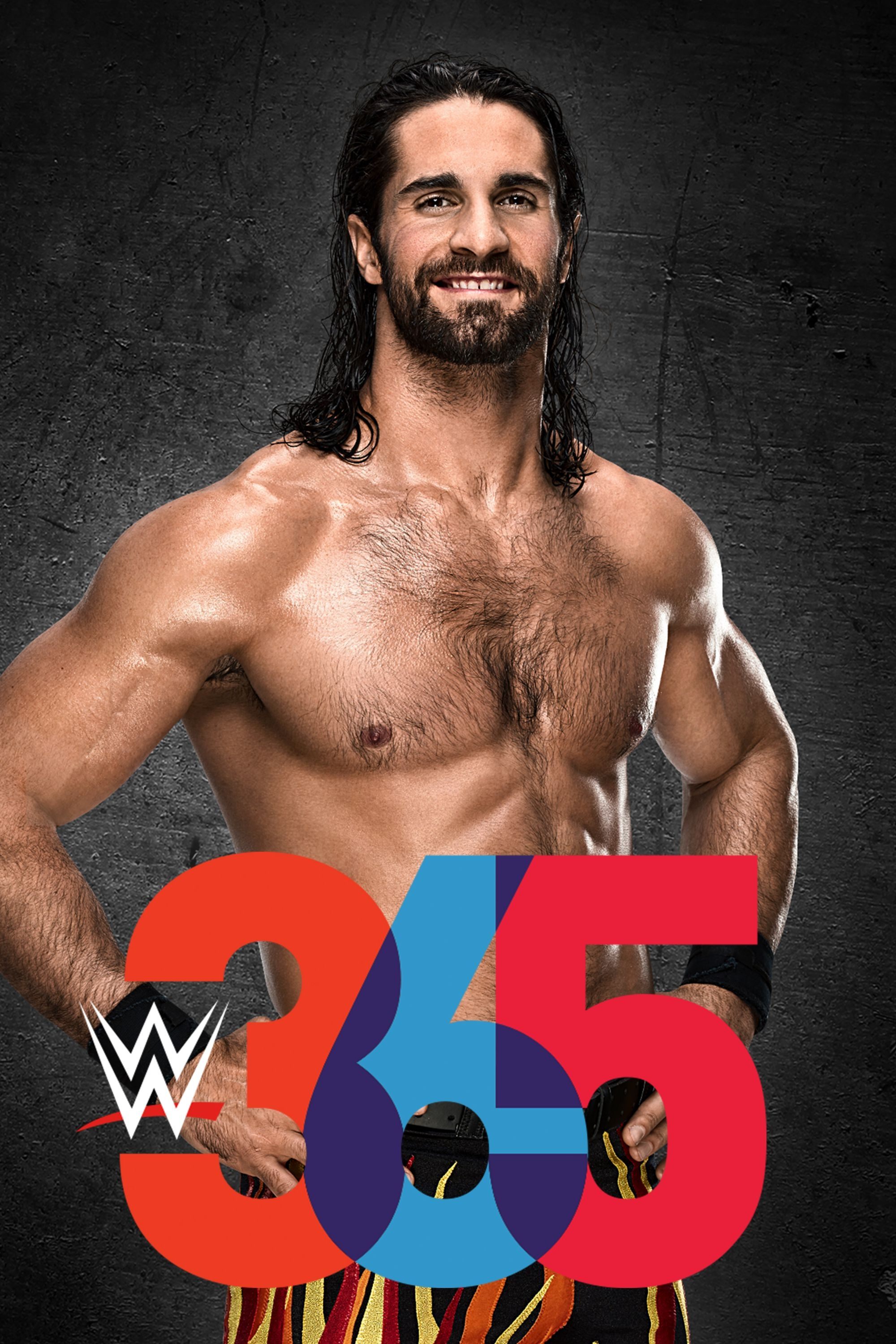 Poster de WWE 365
