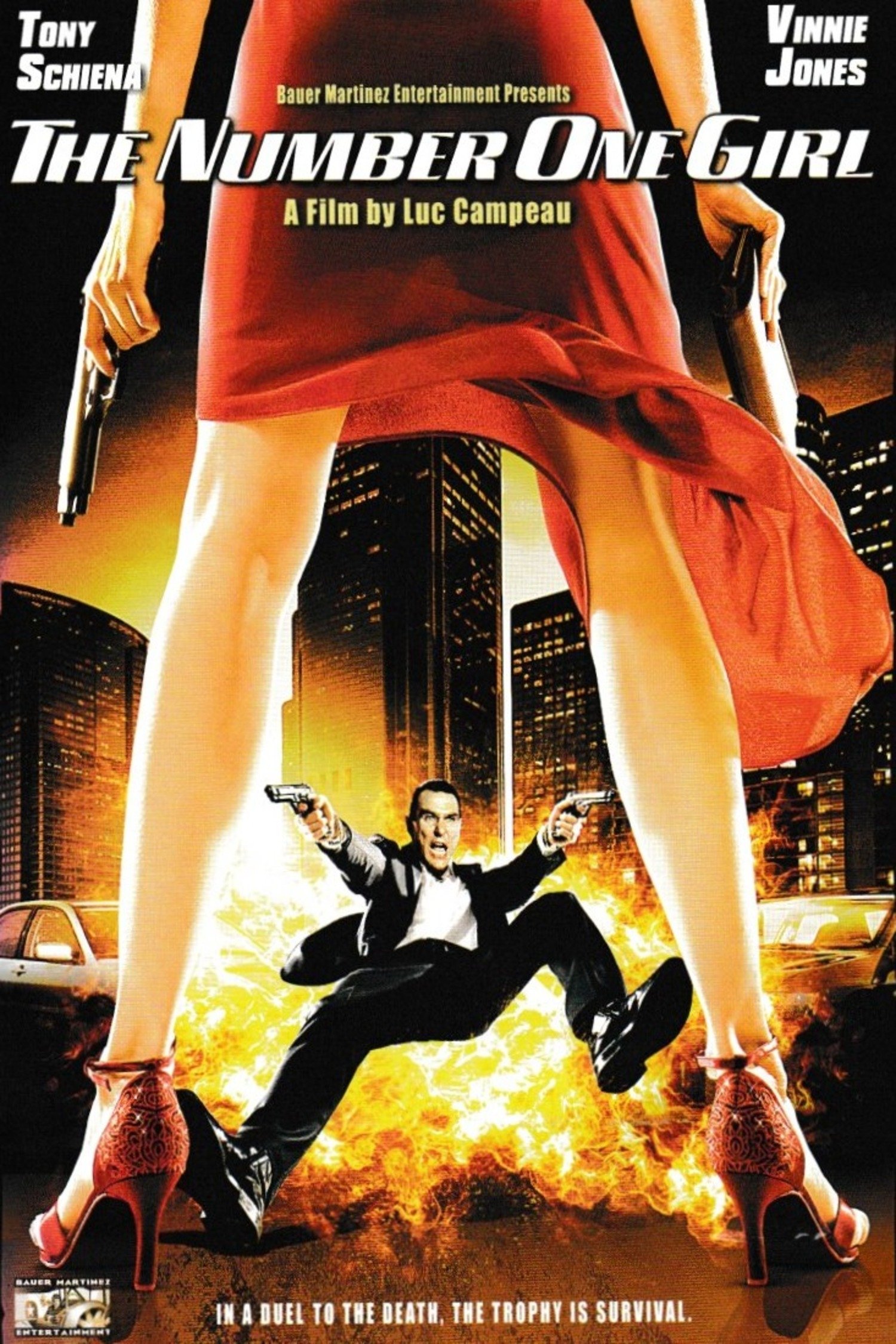 Poster de The Number One Girl