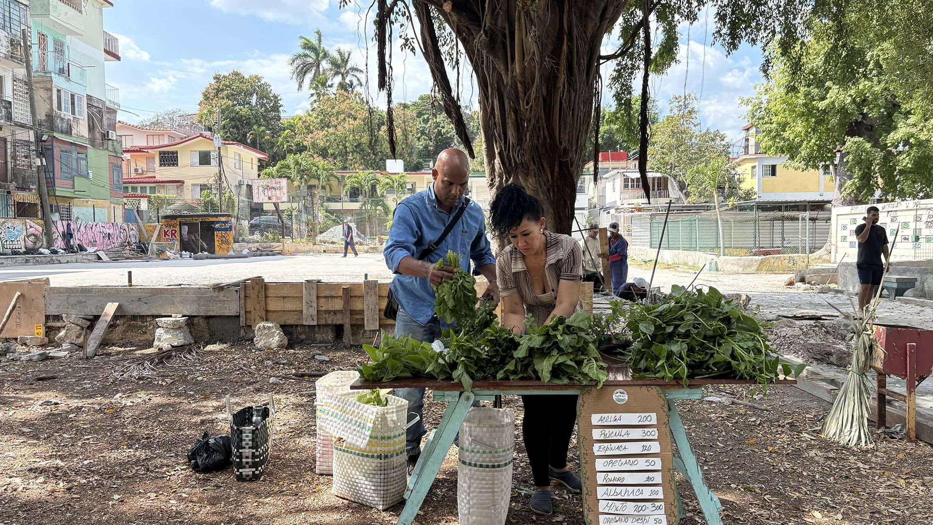 Cuba: Island in Shock / Argentina: Save the Condor