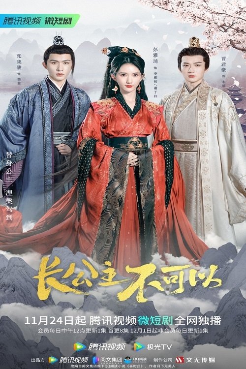Poster de 长公主不可以